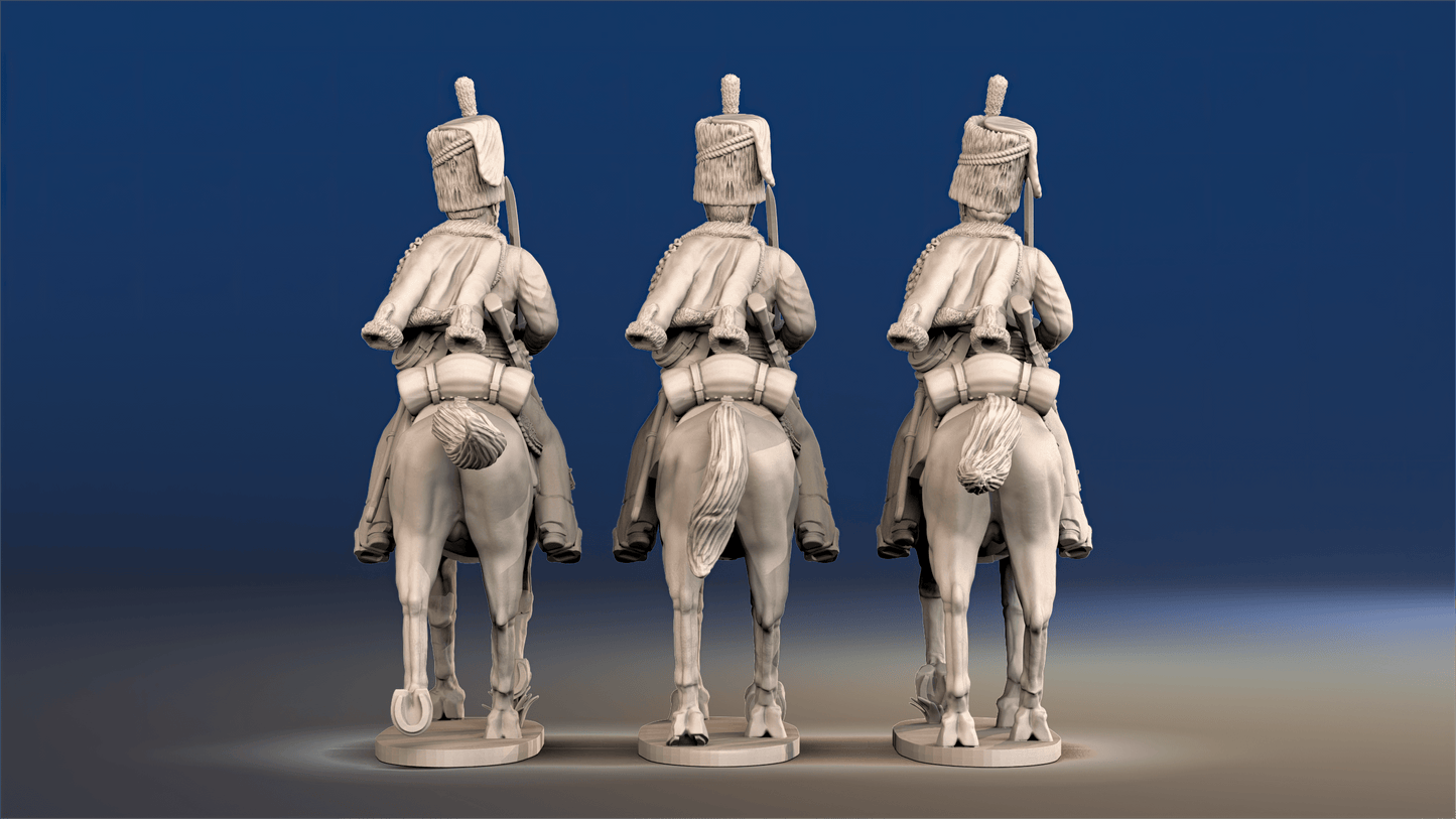 Napoleonic British Hussars Busby trotting rear view