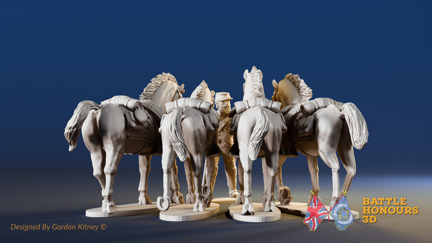 Confederate - Horse Holder With Kepi And Horses