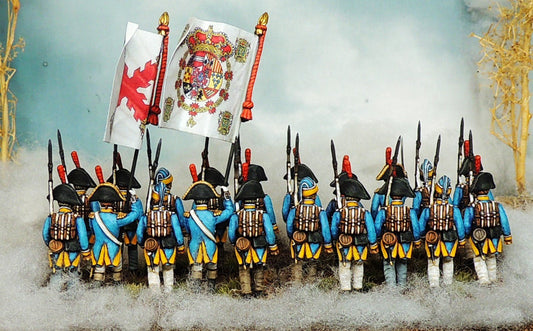 Spanish Irlanda Regiment painting guide finished miniature view