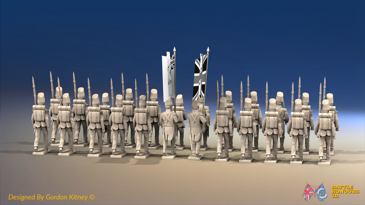 Napoleonic British Line Infantry Battalion March Attack - Covered Belgic Shako - 24 figures, rear view