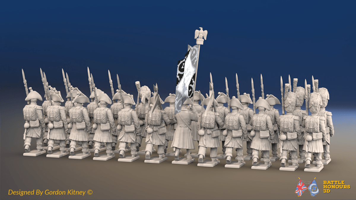 Napoleonic French Battalion - Bicornes, Bearskins and Greatcoats - 24 figures, rear view