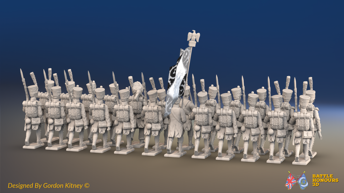 Napoleonic French Line Infantry Battalion Advancing - Jackets, Shakos and Gaiters - 24 figures, rear view