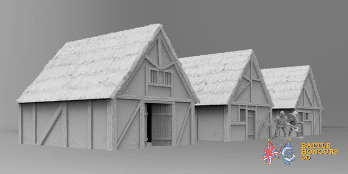 Saxon houses terrain model view 2