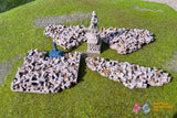 Battle Honours 3D customer product photo view 415