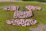 Battle Honours 3D customer product photo view 416