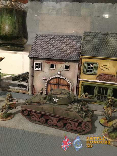 Battle Honours 3D customer wargaming photo view 51