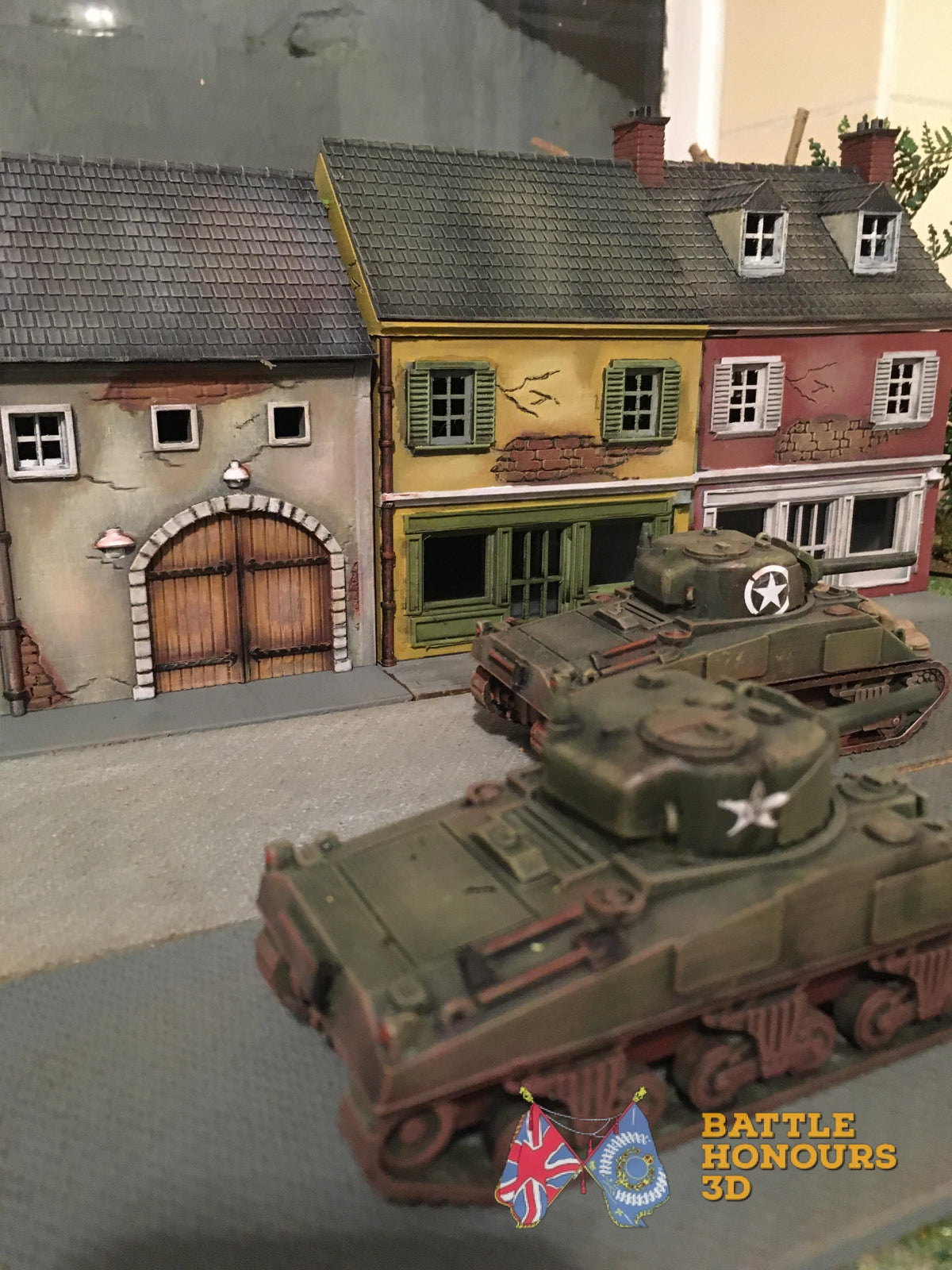 Battle Honours 3D customer wargaming photo view 52