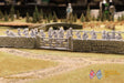 Battle Honours 3D miniature product photo 6534