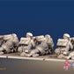 Royal Marine Commando Vickers machine gun team rear view