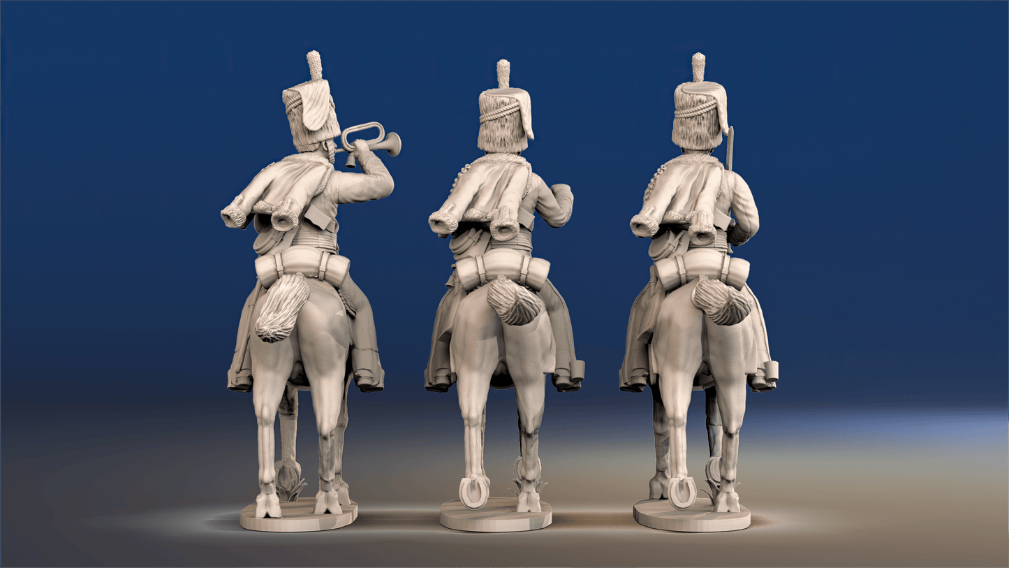 Napoleonic British Hussars Busby trotting command rear view