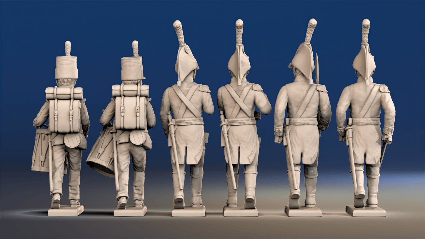 Napoleonic British Infantry Command march attack rear view