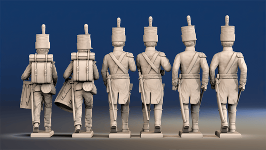 Napoleonic British Infantry Command march attack in shako rear view