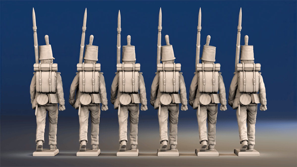 Napoleonic British Regular Infantry march attack in shako rear view