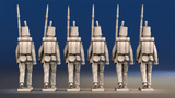 Napoleonic British Regular Infantry march attack in stovepipe shako rear view