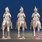 French Dragoon Covered Helmet Trotting Set 3