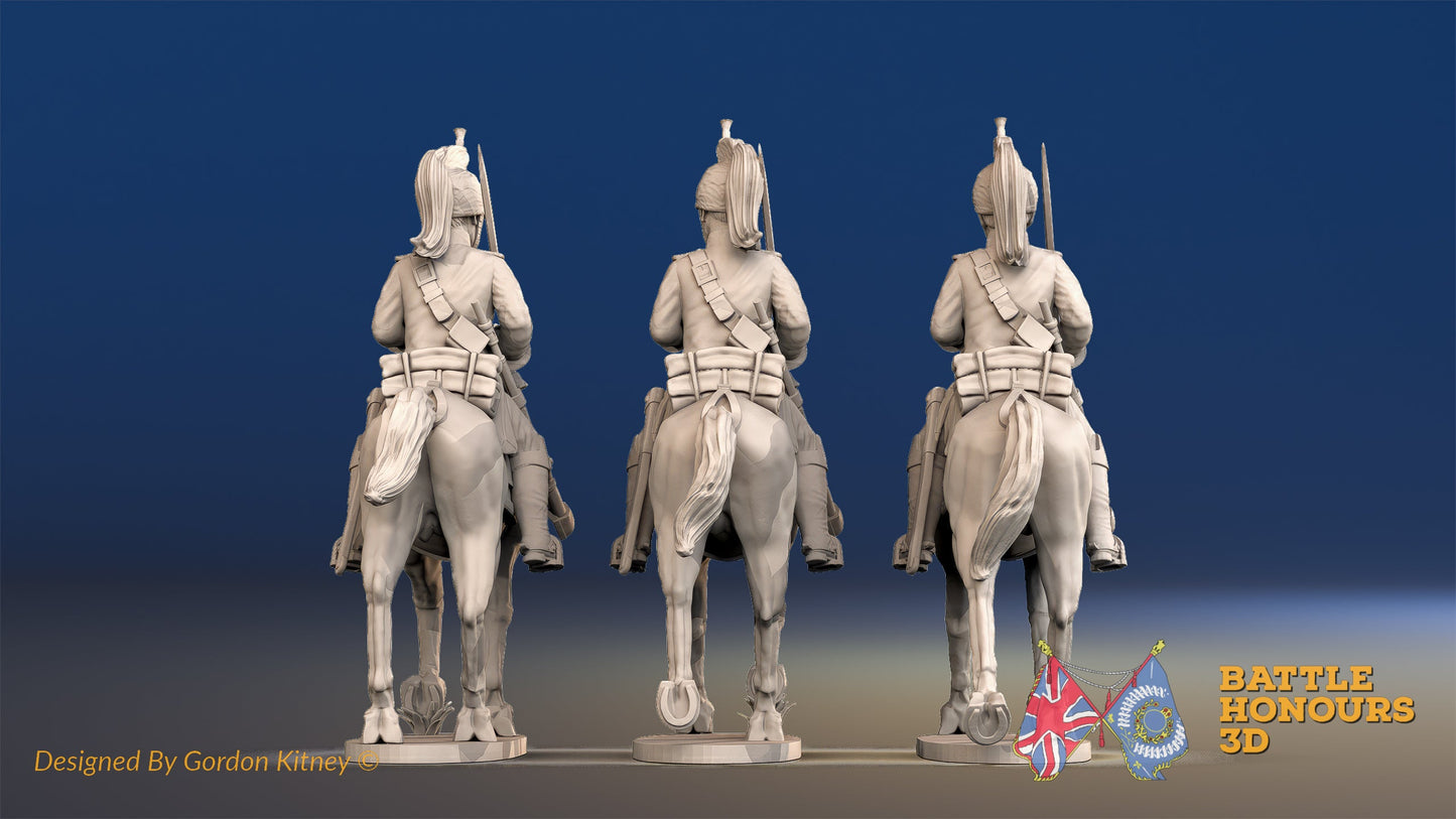 French Dragoon Covered Helmet Trotting Set 3