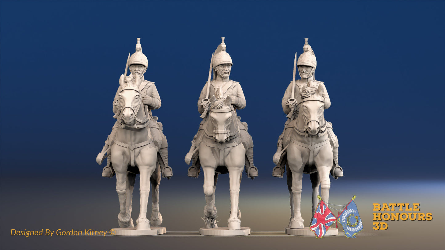 French Dragoon Covered Helmet Trotting Set 3