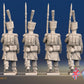 French march attack line Grenadier shako greatcoat rear view