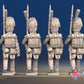 French march attack line Grenadiers rear view