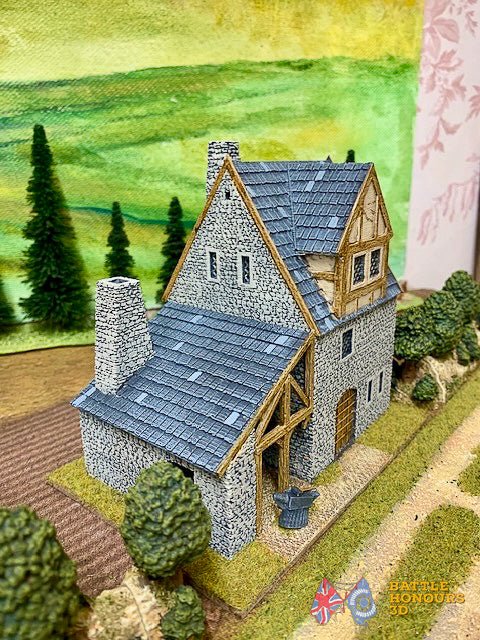 Battle Honours 3D customer product photo view 222