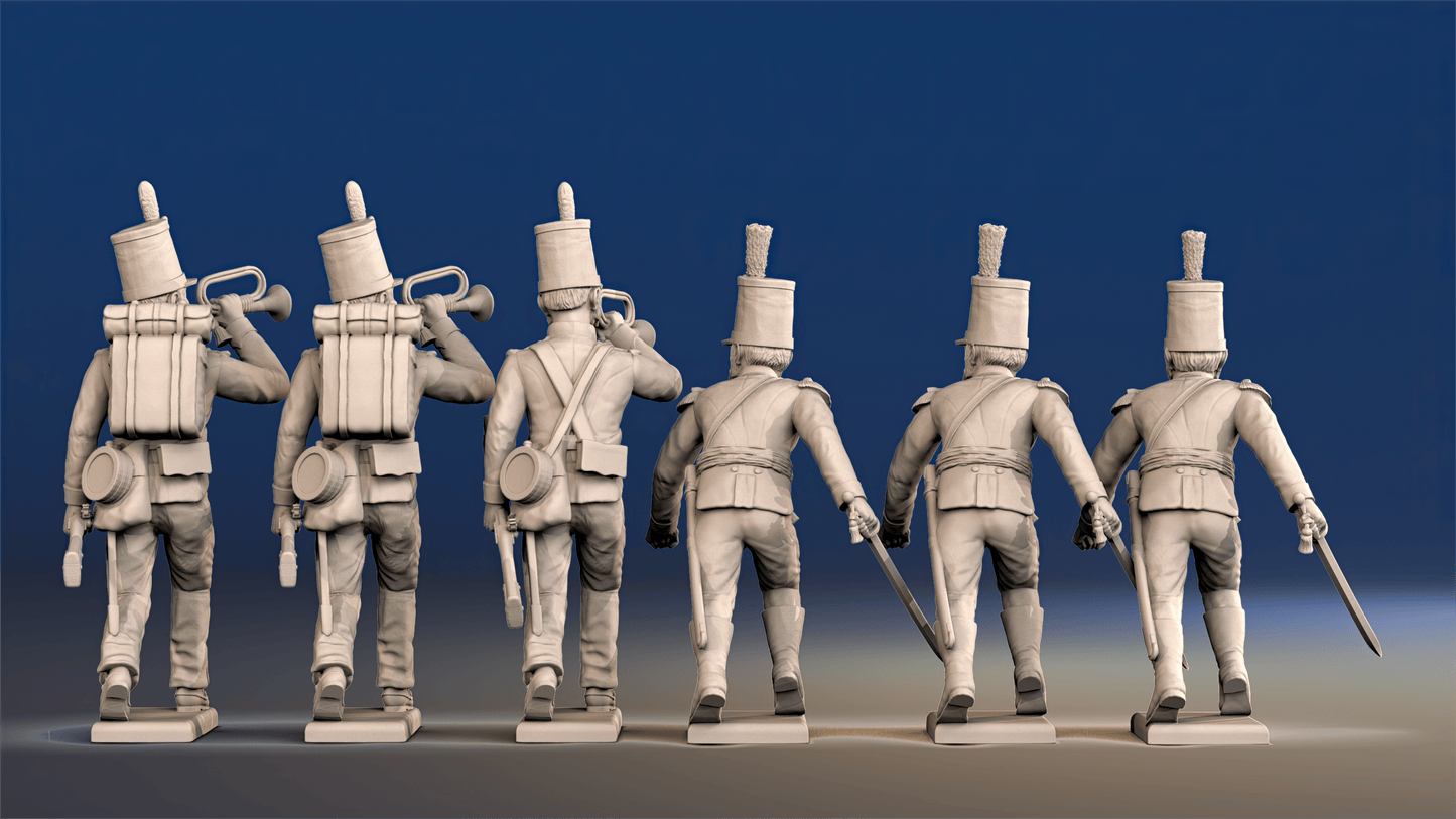 Portuguese 1st Caçadores infantry command rear view