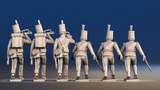 Portuguese 1st Caçadores infantry command rear view