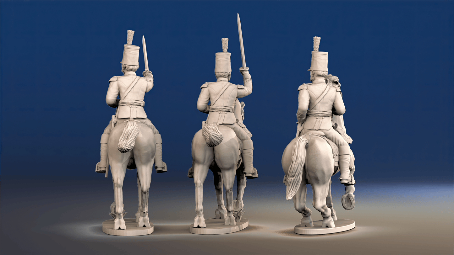 Portuguese 3rd Caçadores mounted colonel command rear view