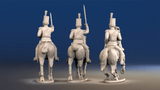 Portuguese 3rd Caçadores mounted colonel command rear view