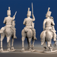 Portuguese line infantry mounted colonel command rear view