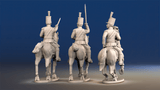 Portuguese line infantry mounted colonel command rear view