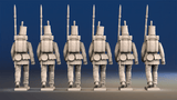 Portuguese line infantry centre company march attack rear view