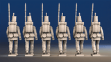 Portuguese line infantry flank company march attack rear view