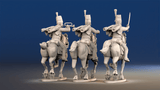 Spanish hussars galloping command rear view