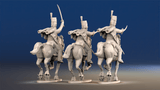 Spanish hussars galloping rear view