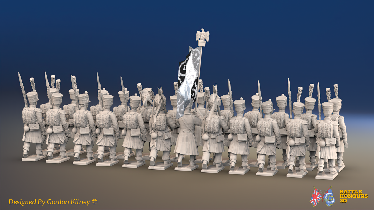 Napoleonic French Battalion - Shakos, Greatcoats and Bearskin Command - 24 figures, rear view