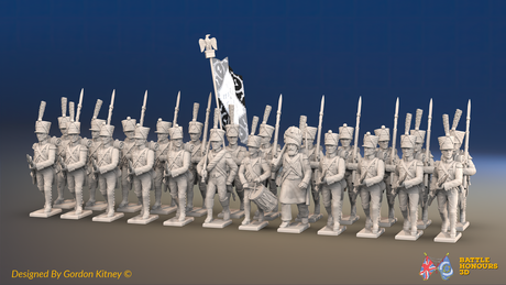 Napoleonic French Line Infantry Battalion Advancing - Jackets, Shakos and Gaiters - 24 figures, front view