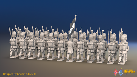 Napoleonic French Light Infantry Carabinier Battalion - Bearskins and Jackets - 24 figures, rear view
