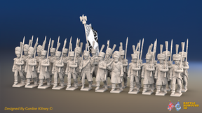 Napoleonic French Light Infantry Battalion Marching - Greatcoats - 24 figures, front view